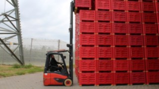 Linde Stapler Faby Frucht